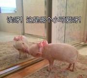 改需求那又怎样的个人资料头像