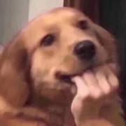 大壮159的个人资料头像