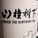 脚踏实地步步为赢d头像