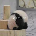 Troumb头像