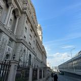 从小被放养Xz头像