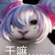 掘金严肃猫的个人资料头像