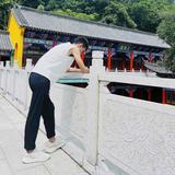 简单而不通俗头像