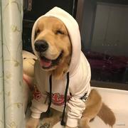 Remix的个人资料头像