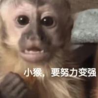 友爱饼干ent头像