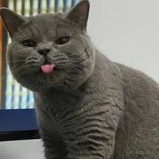 念舒的个人资料头像