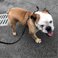 等风来再放箭头像