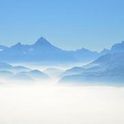 lsc9的个人资料头像