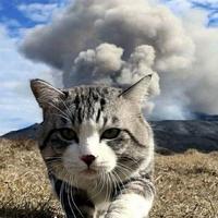 我不是游标卡尺头像