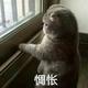 Aa大明1头像