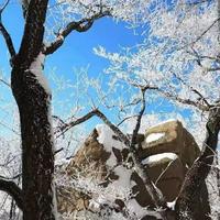 花果山东头娃子头像