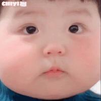 乘风破浪的松鼠CS头像