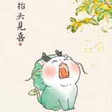 如果星星坠落人间头像
