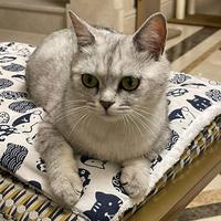 港城一手二手房团购头像