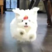 kkkkkkcuipiq的个人资料头像