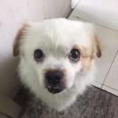 aotian君的个人资料头像