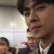 lalalalala731的个人资料头像