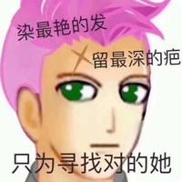 燕子开飞机头像