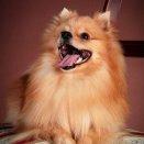 用户7511907860的个人资料头像