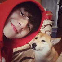 落日疏影里头像