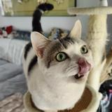 骑驴平天下头像