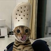 章北海25的个人资料头像