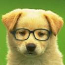 iwen08的个人资料头像