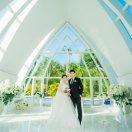 祁懿果的爸爸头像