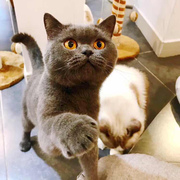 evat的个人资料头像