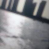 博学王秀治头像