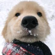 十斤的个人资料头像