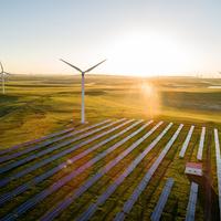 雷哥投光伏头像