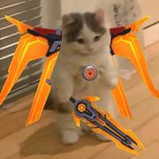 渡河不过的个人资料头像