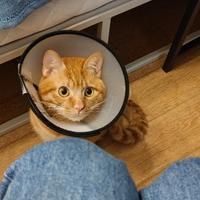 叁万爱吃粮头像