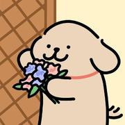 王东旭60的个人资料头像