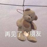 Zoyx头像