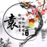 智者风铃Cq头像