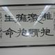 淡定铅笔7j5头像
