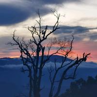 平庸的读书人头像