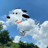 华灯消逝时头像