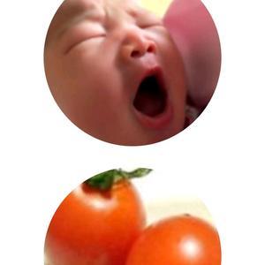 戈壁老虎1z2J头像