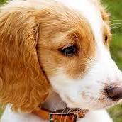 Air_cc13241的个人资料头像