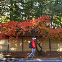 憨居Hanz（民宿&好物）头像