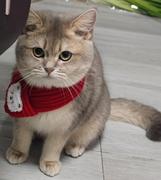 小颜想躺平的个人资料头像