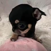 悸祁的个人资料头像