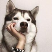 离晴i的个人资料头像