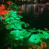 工匠精神溺水三千头像