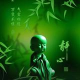用户5235927401956头像