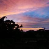 过去4283296042453751头像