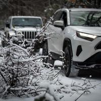 用户50085332115头像